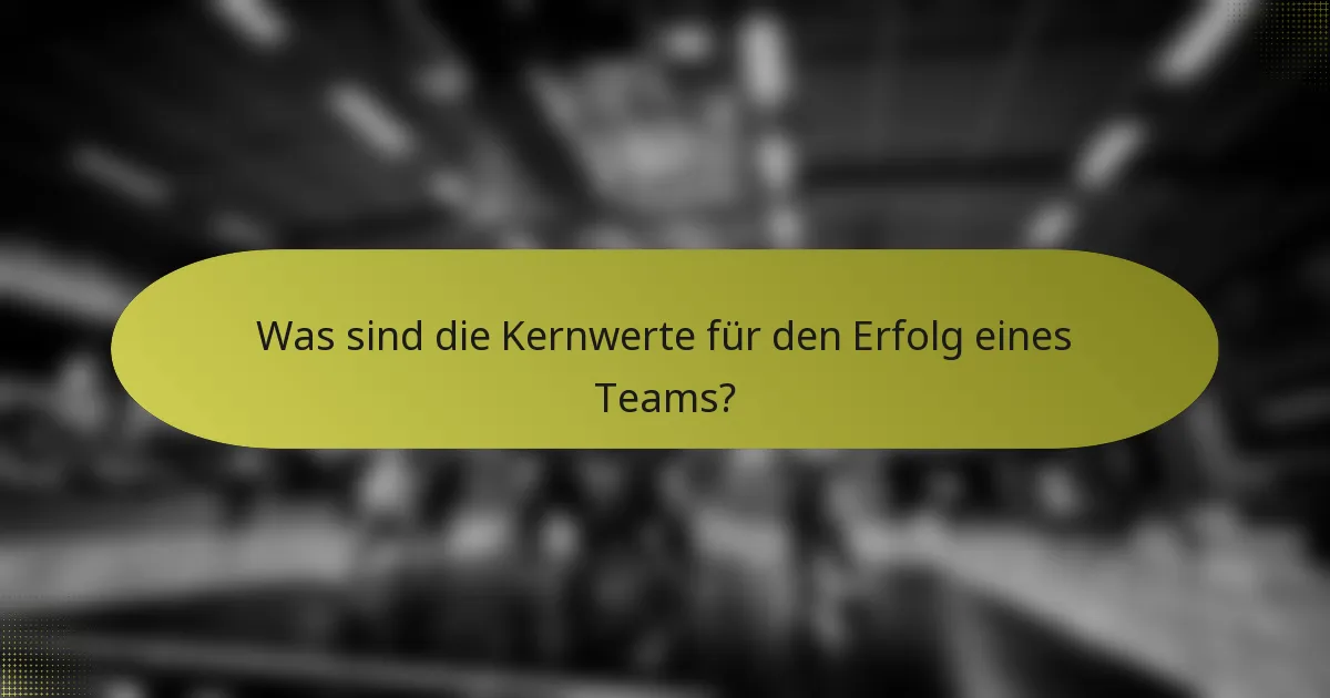 Was sind die Kernwerte für den Erfolg eines Teams?